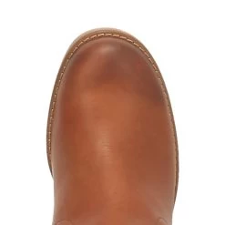 Dingo Tan Homestead Fashion Women Round Toe Boot -Guadalajara Western Wear 01 DI254 BN97 big 3c95995c c801 4749 96f9 2dd4baef55eb