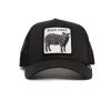 The Black Sheep- BLK -Guadalajara Western Wear 101 0221 BLK F01 776x776 crop center 776x 12e92a33 784d 488a ade0 4fcaa5195a74