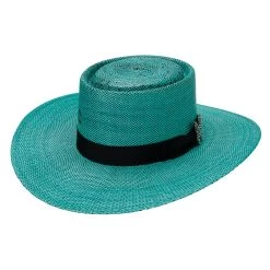 Charlie 1 Horse Guardian - Turquoise/Black -Guadalajara Western Wear CSGRDN 2536TA