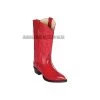 Los Altos Red Eel J Toe Cowboy Boots