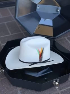 Tombstone 1000x Johnson Con Liston Negro (Copa Chica) -Guadalajara Western Wear IMG 0214 3bbbdfb4 12ab 4b6b 8e0d fe2875e211fc