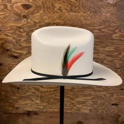 Cuernos Chuecos 100x Durango (Copa Alta) -Guadalajara Western Wear IMG 0284