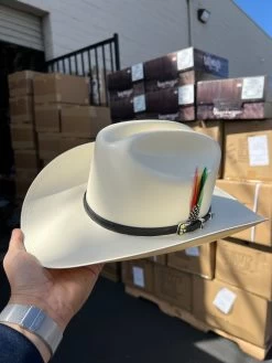 10,000x Falda/brim 3.5" Avestruz Negro Sinaloa Style Hat (Exclusive) -Guadalajara Western Wear IMG 06502