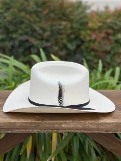 Tombstone 1000x Diamante Negro (Copa Chica) -Guadalajara Western Wear IMG 1084