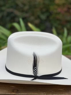 Tombstone 1000x Diamante Negro (Copa Chica) -Guadalajara Western Wear IMG 1085