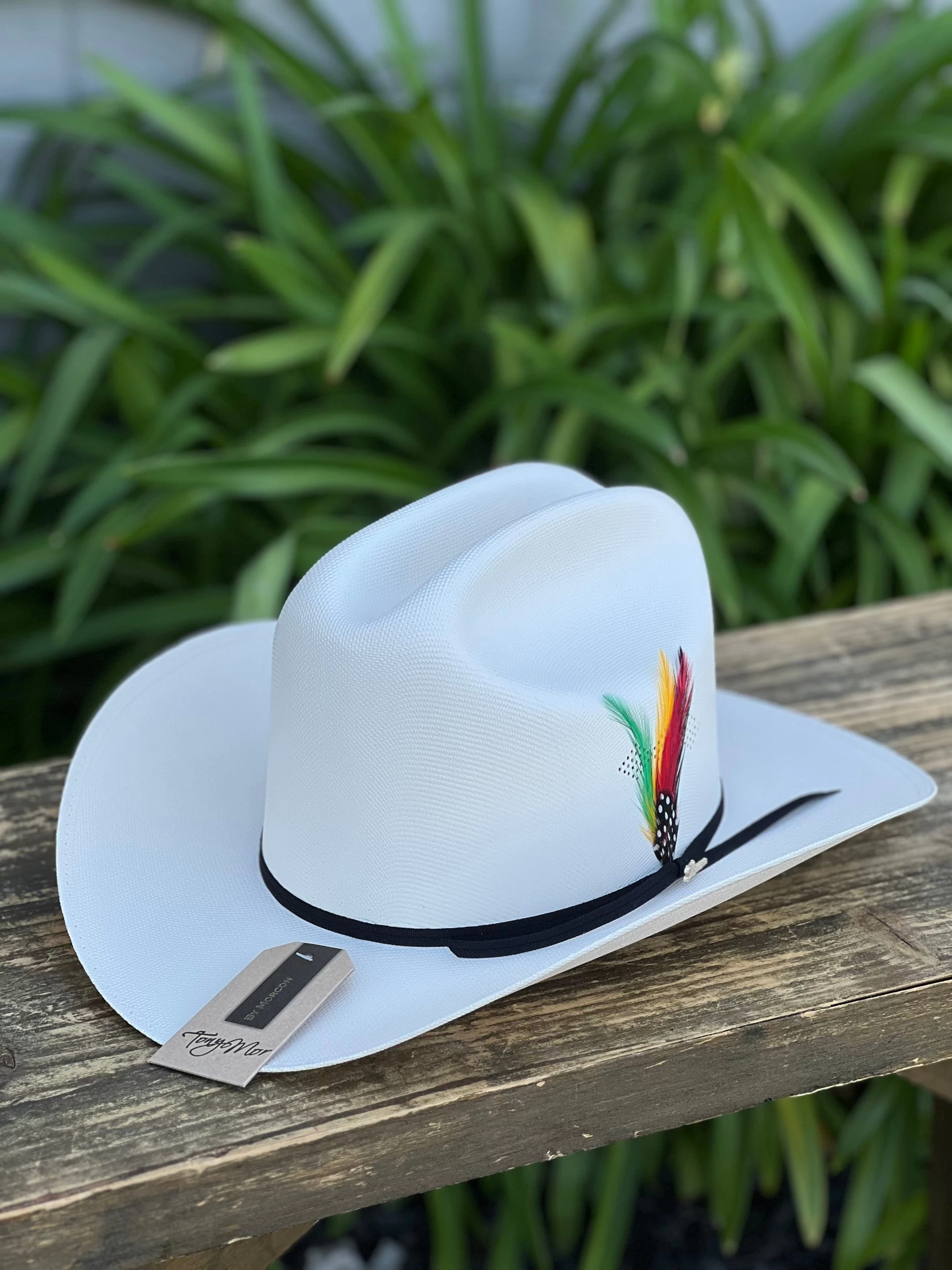 Sombrero 1,000x Copa Alta Falda 3.5" Marca Morcon (Clasica/Classic) 4 Sombrero 1,000x Copa Alta Falda 3.5" Marca Morcon (Clasica/Classic) - Image 2