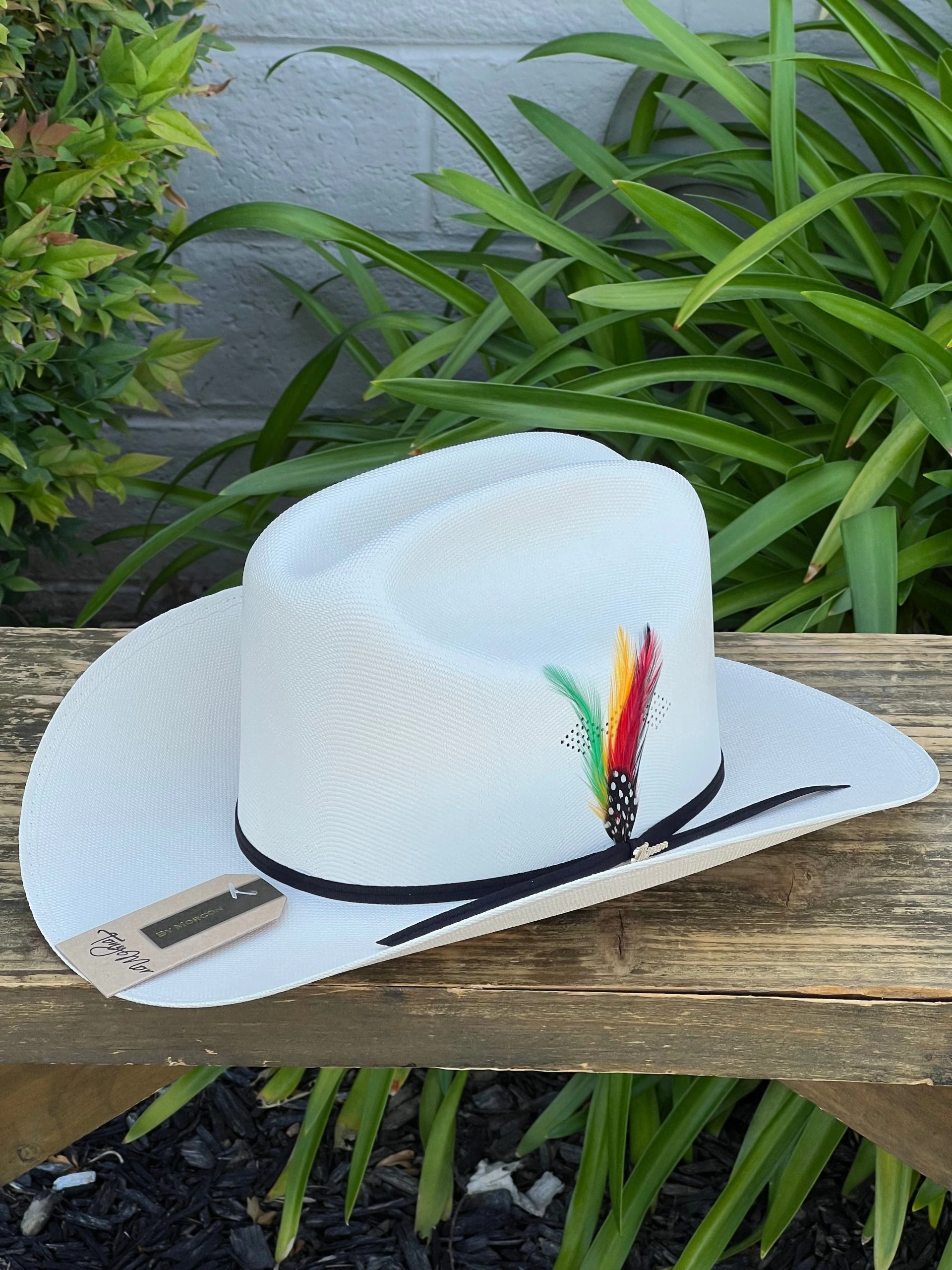 Sombrero 1,000x Copa Alta Falda 3.5" Marca Morcon (Clasica/Classic) 3 Sombrero 1,000x Copa Alta Falda 3.5" Marca Morcon (Clasica/Classic)