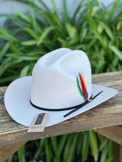 Sombrero 1,000x Copa Alta Falda 3" Marca Morcon -Guadalajara Western Wear IMG 1189