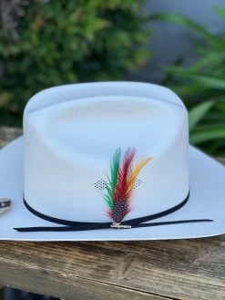 Sombrero 1,000x Copa Alta Falda 3" Marca Morcon -Guadalajara Western Wear IMG 1190