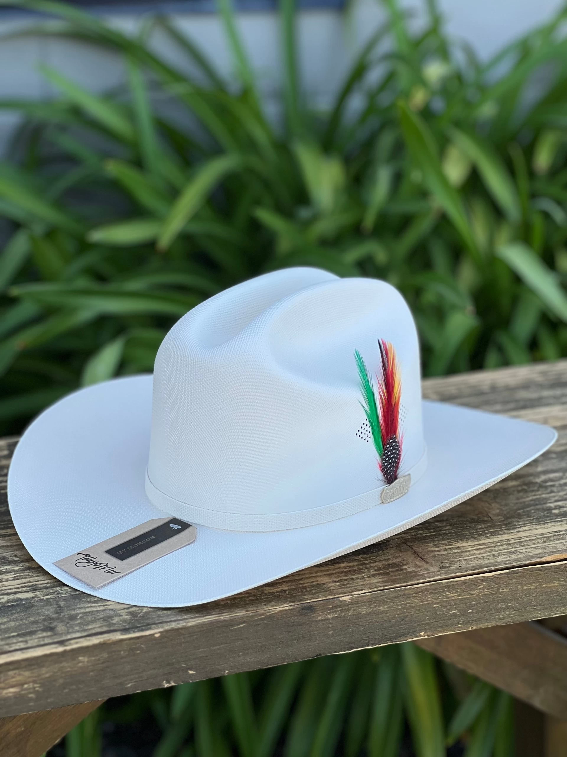 Sombrero 1,000x Copa Chica Falda 3.5" Marca Morcon (Clasica/Classic) 3 Sombrero 1,000x Copa Chica Falda 3.5" Marca Morcon (Clasica/Classic)