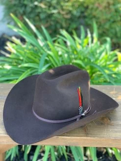 Stetson 6x Rancher Chocolate Cowboy Felt Hat (Copa Alta Falda/Brim 4") -Guadalajara Western Wear IMG 1386
