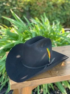 Stetson 6x Rancher Black Cowboy Felt Hat (Copa Alta Falda/Brim 4") -Guadalajara Western Wear IMG 1393