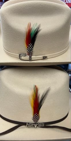 Cuernos Chuecos 6x Johnson Silverbelly (Copa Alta Falda 3.5) -Guadalajara Western Wear IMG 1398 07dc1c76 288a 441b 80cb d4aa7e8bcd55