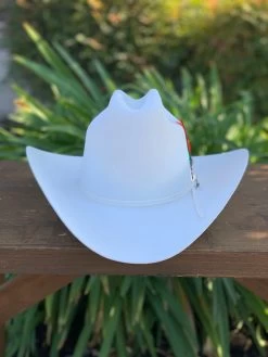 Stetson 6x Rancher Premium White Cowboy Felt Hat (Copa Alta Falda/Brim 4") -Guadalajara Western Wear IMG 1399