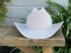 Stetson 6x Silverbelly (Copa Chica Falda/Brim 3.5") -Guadalajara Western Wear IMG 1714