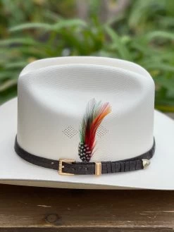 Tombstone 1000x Johnson (Copa Chica) Toquilla Caiman Cafe Obscuro -Guadalajara Western Wear IMG 2251