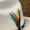 Original Stetson Feather (Pack Of 2) -Guadalajara Western Wear IMG 2704