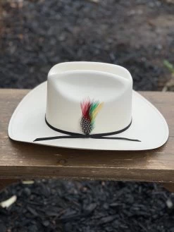 Cuernos Chuecos 100x Johnson (Sinaloa Style) -Guadalajara Western Wear IMG 2818