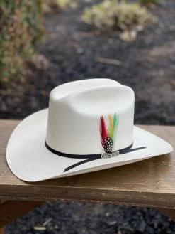 Cuernos Chuecos 100x Durango (Copa Alta) -Guadalajara Western Wear IMG 2820