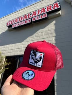 RED/Black - Gallo Fino Brand