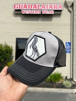 Fresian Grey/Black Cap