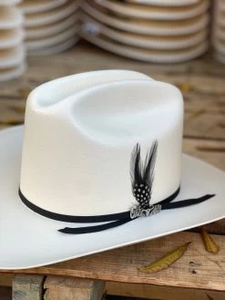 Cuernos Chuecos 100x Johnson Diamante Negro (Copa Alta Falda 3.5")(Sinaloa Style) -Guadalajara Western Wear IMG 3683 e18db36c 7a03 4948 b802 fe71b6707bda