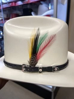 500X Johnson Copa Alta 4 3/4" Falda Corta 3" Toquilla Avestruz Negro -Guadalajara Western Wear IMG 4401