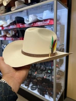 Tombstone 1000x Johnson (Copa Chica) Toquilla Avestruz Cafe Obscuro -Guadalajara Western Wear IMG 4459 ab7d73f0 b639 4e5f 9516 cc9f7a97c603