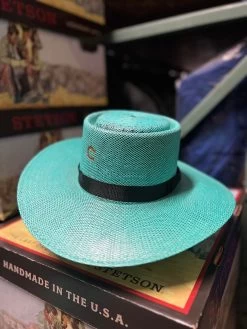 Charlie 1 Horse Guardian - Turquoise/Black