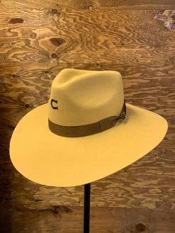 Charlie 1 Horse Highway Dijon