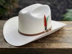 5000X Alegres Del Barranco Copa Chica 4.5" Falda 3.5" Horma Sinaloa (Toquilla Avestruz Cafe) 9 5000X Alegres Del Barranco Copa Chica 4.5" Falda 3.5" Horma Sinaloa (Toquilla Avestruz Cafe) -Guadalajara Western Wear IMG 5142