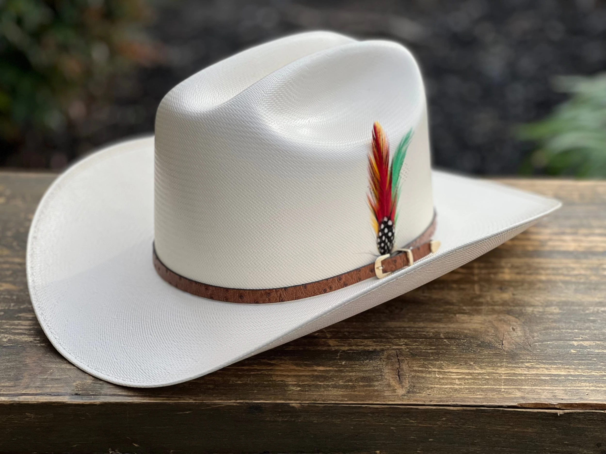 5000X Alegres Del Barranco Copa Chica 4.5" Falda 3.5" Horma Sinaloa (Toquilla Avestruz Cafe) 4 5000X Alegres Del Barranco Copa Chica 4.5" Falda 3.5" Horma Sinaloa (Toquilla Avestruz Cafe) - Image 2