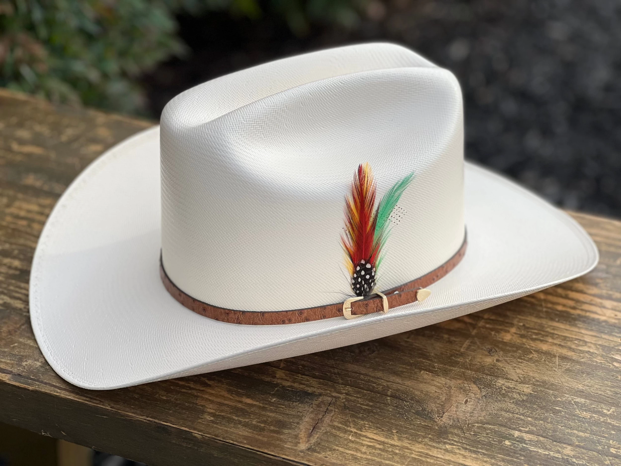 5000X Alegres Del Barranco Copa Chica 4.5" Falda 3.5" Horma Sinaloa (Toquilla Avestruz Cafe) 3 5000X Alegres Del Barranco Copa Chica 4.5" Falda 3.5" Horma Sinaloa (Toquilla Avestruz Cafe)