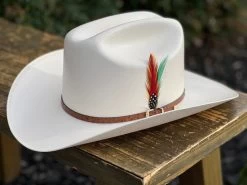 5000X Alegres Del Barranco Copa Chica 4.5" Falda 3.5" Horma Sinaloa (Toquilla Avestruz Cafe) 11 5000X Alegres Del Barranco Copa Chica 4.5" Falda 3.5" Horma Sinaloa (Toquilla Avestruz Cafe) -Guadalajara Western Wear IMG 5145