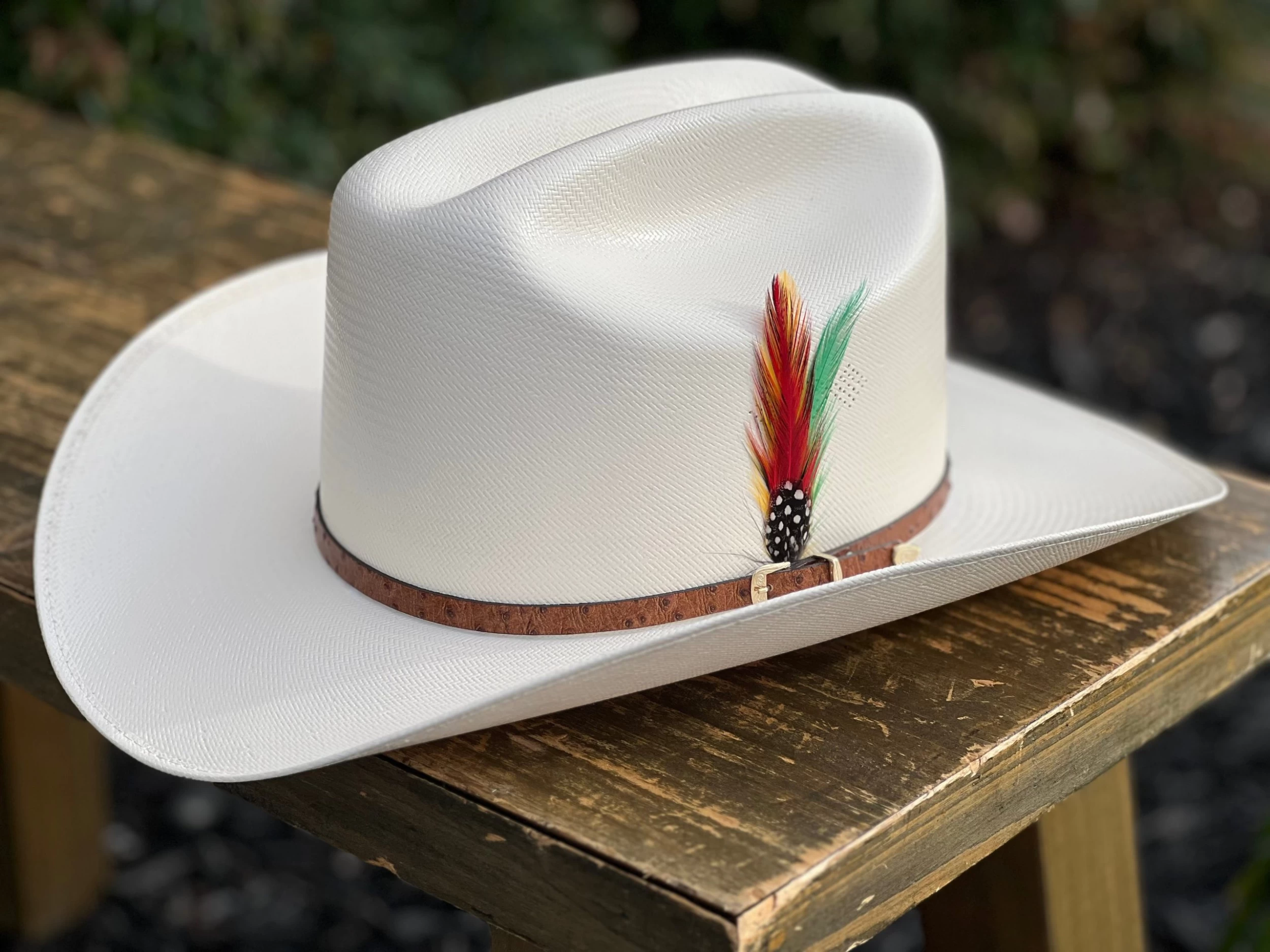 5000X Alegres Del Barranco Copa Chica 4.5" Falda 3.5" Horma Sinaloa (Toquilla Avestruz Cafe) 6 5000X Alegres Del Barranco Copa Chica 4.5" Falda 3.5" Horma Sinaloa (Toquilla Avestruz Cafe) - Image 4