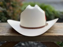 5000X Alegres Del Barranco Copa Chica 4.5" Falda 3.5" Horma Sinaloa (Toquilla Avestruz Cafe) 12 5000X Alegres Del Barranco Copa Chica 4.5" Falda 3.5" Horma Sinaloa (Toquilla Avestruz Cafe) -Guadalajara Western Wear IMG 5146