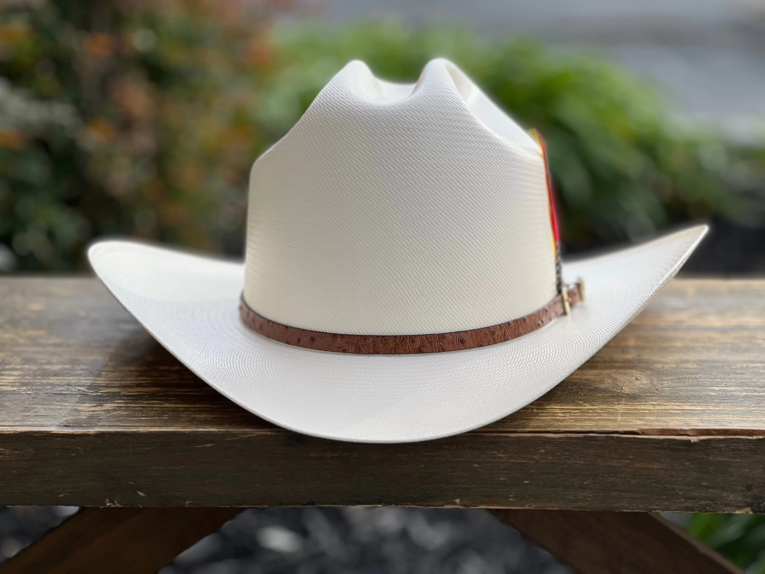 5000X Alegres Del Barranco Copa Chica 4.5" Falda 3.5" Horma Sinaloa (Toquilla Avestruz Cafe) 7 5000X Alegres Del Barranco Copa Chica 4.5" Falda 3.5" Horma Sinaloa (Toquilla Avestruz Cafe) - Image 5