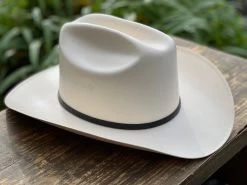 5000X Alegres Del Barranco Copa Chica 4.5" Falda 3.5" Horma Sinaloa (Toquilla Avestruz Negra) -Guadalajara Western Wear IMG 5148