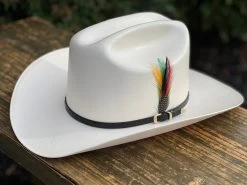 5000X Alegres Del Barranco Copa Chica 4.5" Falda 3.5" Horma Sinaloa (Toquilla Avestruz Negra) -Guadalajara Western Wear IMG 5149