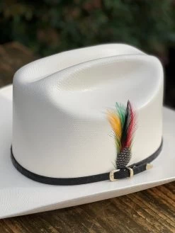 5000X Alegres Del Barranco Copa Chica 4.5" Falda 3.5" Horma Sinaloa (Toquilla Avestruz Negra) -Guadalajara Western Wear IMG 5150