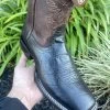 Ariat Men's Circuit Eagle Western Boot -Guadalajara Western Wear IMG 6145