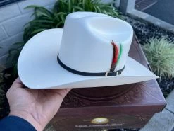 10,000x Sombrero Copa Chica 4.5" Falda 4" Horma Sinaloa (Toquilla Avestruz Negra) -Guadalajara Western Wear IMG 6349