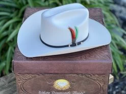 10,000x Sombrero Copa Chica 4.5" Falda 4" Horma Sinaloa (Toquilla Avestruz Negra) -Guadalajara Western Wear IMG 63512