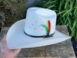 200x Sombrero Copa Alta Falda 3 3/4" Horma SONORA 14 200x Sombrero Copa Alta Falda 3 3/4" Horma SONORA -Guadalajara Western Wear IMG 6365