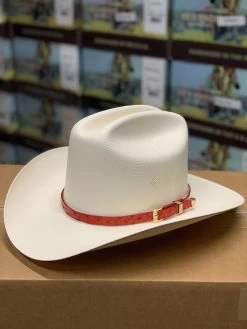 Tombstone 1000x Johnson (Copa Chica) Toquilla Avestruz Rojo -Guadalajara Western Wear IMG 7172 d8dbc240 d34f 4051 873f 1b57dd1c2bd5