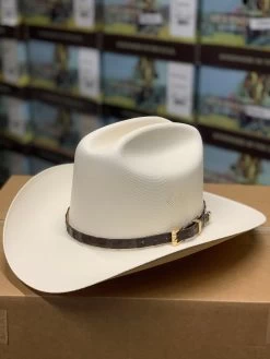 Tombstone 1000x Johnson (Copa Chica) Toquilla Caiman Cafe Obscuro -Guadalajara Western Wear IMG 71912 be5b59ea 32bf 4a50 b2f2 17e0d55b30cd