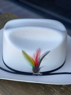 Tombstone 100x Chaparral (Copa Chica Falda Chica) -Guadalajara Western Wear IMG 7533