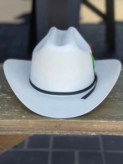 Tombstone 100x Chaparral (Copa Chica Falda Chica) -Guadalajara Western Wear IMG 7534