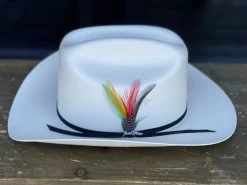 Tombstone 100x Chaparral (Copa Chica Falda Chica) -Guadalajara Western Wear IMG 7535