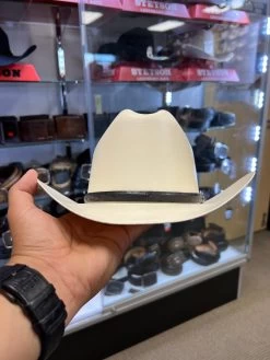 500X Copa Chica 4 1/2" Falda Corta 3" Toquilla Avestruz Negro -Guadalajara Western Wear IMG 8124